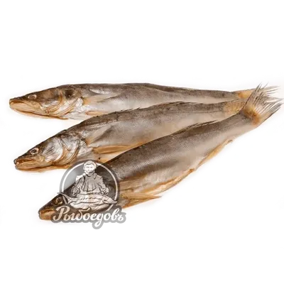 Сазан щука судак, маринованная рыба \"Хе\", как говорят рыбаки \"ум отъешь\",  простой и главное безопасный рецепт от ихтиолога | Заметки ихтиолога. | Дзен