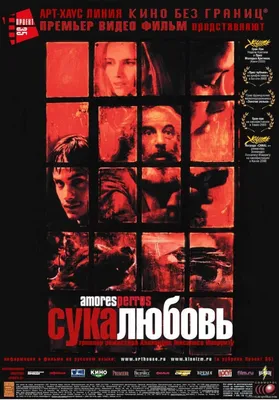 Сука-любовь (2000) — фото: кадры из фильма, постеры, фотографии со съемок —  Фильм Про