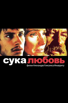 Сука-любовь (2000) - Постеры — The Movie Database (TMDB)