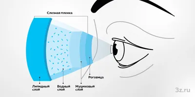 Синдром сухого глаза из-за психосоматики | Дельфанто