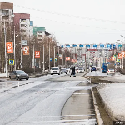 Город Сургут: климат, экология, районы, экономика, криминал и  достопримечательности | Не сидится