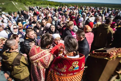 Никольская гора в Сурском