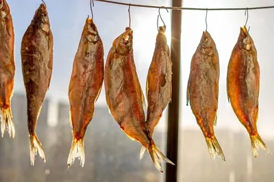 Вкусная и простая рыба — вяленая | swjournal.ru | Дзен