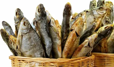 Хранение вяленой и сушеной рыбы в домашних условиях