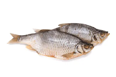 Продается вяленая рыба высокого качества с доставкой - Goodfish