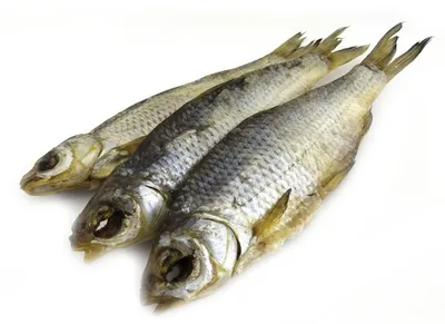 Сушеная рыба купить в Апатитах за 700 руб- Продукты на Хибины.ru