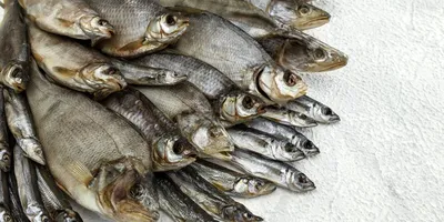 Вяленая рыба купить в Хабаровске с доставкой на дом