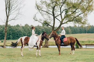 Счастливая подкова: свадьба в тематике конного спорта - Weddywood