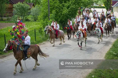 Цыганская свадьба, лошадь с повозкой…» — создано в Шедевруме