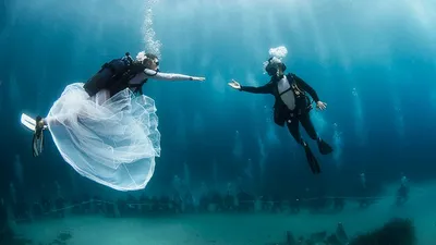 Свадьба под водой фото фото