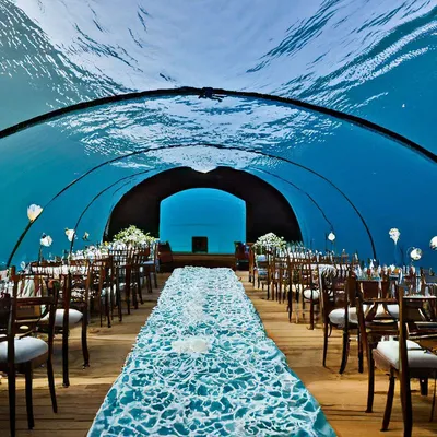 Свадьба под водой» — создано в Шедевруме