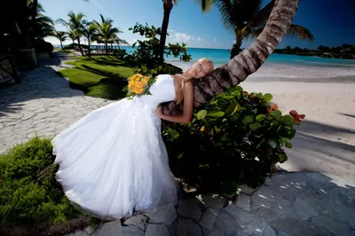 Свадьба в Доминикане - Caribbean Wedding