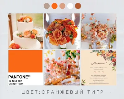 Оформление свадебного зала ресторана \"Ренессанс\" коралловом и молочным  цветом | Prestige-wedding.ru