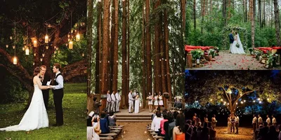 Свадьба в лесу фото фото