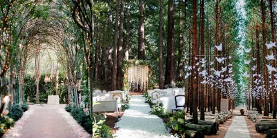 Свадьба в лесу | Best Day Planner