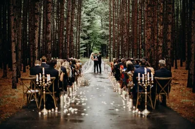 Свадьба в лесу - 77 фото