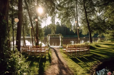 Прогулка в сосновом лесу | Свадьба в лесу, Свадебные фотографии,  Неформальные свадьбы