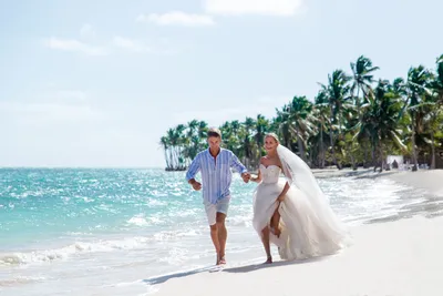 красивая свадебная пара жених и невеста обнимаются на пляже только что  поженились Фон И картинка для бесплатной загрузки - Pngtree