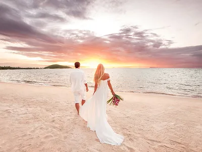 Wedding photosession of the bride and groom at sunset in the field with a  wedding car фотография Stock | Adobe Stock