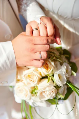 Свадебные фото рук с кольцами фото
