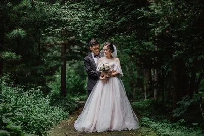 Свадебные фото в лесу фото