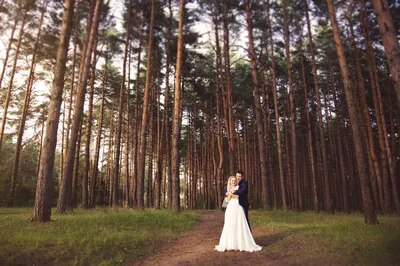 свадьба в лесу, свадебная фотосессия в сосновом лесу, свадебная фотосессия,  свадебная фотосессия в лесу летом, лесная свадьба, Свадебный фотограф Москва