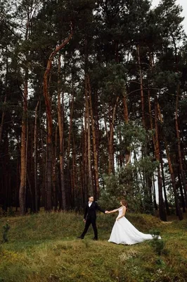 девушка в свадебном платье в осеннем лесу на фоне диких деревьев Фото И  картинка для бесплатной загрузки - Pngtree