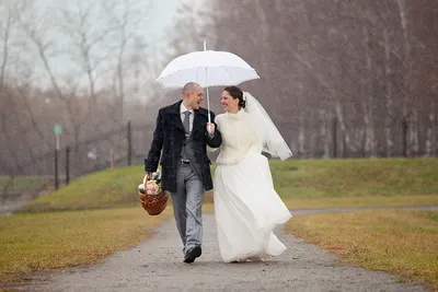 Свадьба в ноябре: нумерологи назвали лучшие даты для бракосочетания - ЗНАЙ  ЮА