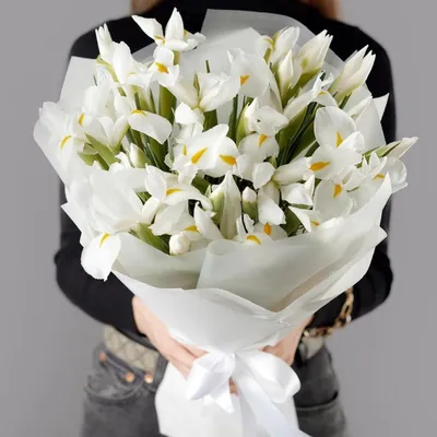 Букет ирисов с берграссом • MoreRoz.By Весенние цветы по привлекательнй  цене!
