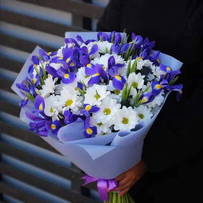 Большой букет из синих ирисов и белой эустомы – розы с доставкой по Москве  и Московской области