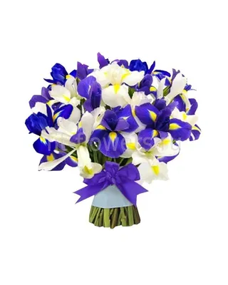 Бело-синий свадебный букет из ирисов и тюльпанов | AliExpress