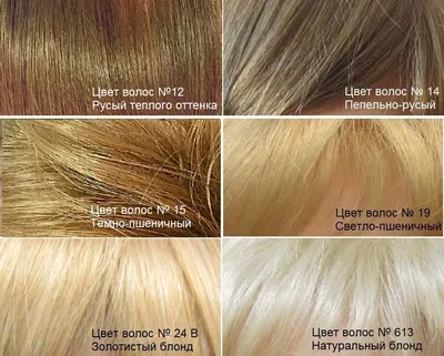 hothair.ru - Как получить светло-русый цвет волос и каких оттенков он  бывает? (фото)