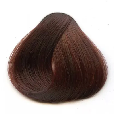 Краска-мусс для волос Schwarzkopf Perfect Mousse 600 Светлый каштан 92,5 мл  купить для Бизнеса и офиса по оптовой цене с доставкой в СберМаркет Бизнес