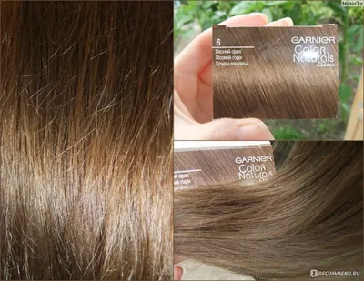 Краска для волос Garnier Color naturals creme - «Оттенок 6 \"Лесной орех\",вроде  и не плохо, но больше не куплю + фото » | отзывы