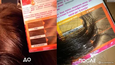 Miss Magic Luxe Colors Краска для волос 7.0 Лесной орех - купить с  доставкой по выгодным ценам в интернет-магазине OZON (982750007)