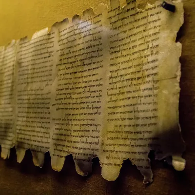 Все свитки Мертвого моря из музея в Вашингтоне оказались подделкой - РИА  Новости, 16.03.2020