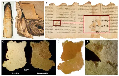 На свитке Мертвого моря нашли покрытие неестественного происхождения -  Российская газета