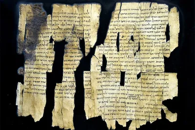 Ученые расшифровали свитки Мертвого моря с помощью ДНК овец, из которых был  сделан пергамент - KP.RU