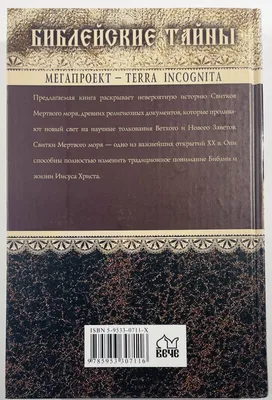 Иллюстрация 10 из 10 для Свитки Мертвого моря - Адам Блейк | Лабиринт -  книги. Источник: Gamlet