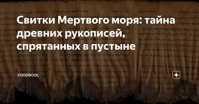 В пещерах Мертвого моря впервые за 60 лет нашли новый свиток