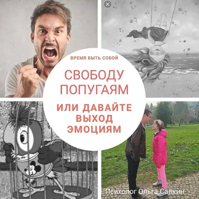 свободу попугаям!\" советский плакат…» — создано в Шедевруме