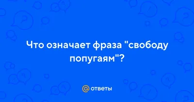 Игра свободу попугаям – купить в Перми, цена 150 руб., истекает завтра в  8:25 – Игры для приставок и ПК