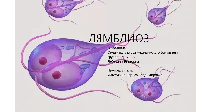 Лямблии и описторхоз: причины, симптомы и методы борьбы