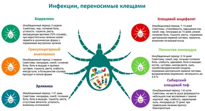 Новости – «Красноярский краевой центр профилактики и борьбы со СПИД»