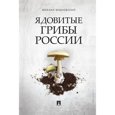 Открываем грибной сезон: как отличить сыроежку от поганки и не отравиться  собранным урожаем