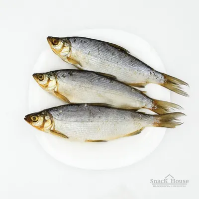 Рыба Сырок холодного копчения (500 гр.) – Княжеские закуски