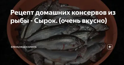 Купить северноого сырка ЯНАО северная рыба в Новосибирске оптом и в розницу  с доставкой