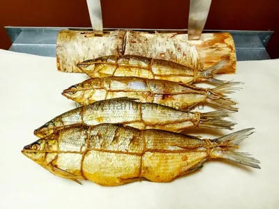 Самая вкусная рыба 🐟 Сырок и муксун -... - Югорские традиции | Facebook
