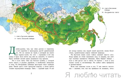 Арты тайги леса - 48 фото