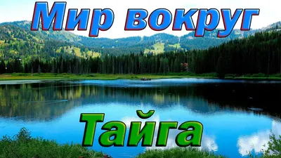 Россия тайга / леса умеренного пояса ландшафты Осенний лес ВОРОНЕЖСКАЯ  ОБЛАСТЬ ТЕРНОВСКИЙ РАЙОН ТЕРНОВКА OutdoorsPHOTO - Фотография и путешествия